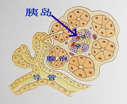 QQ图片20140513110518.jpg